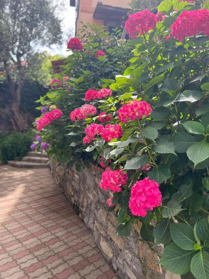 The Time -Home & Hotel- Santa Margherita Ligure Exterior foto